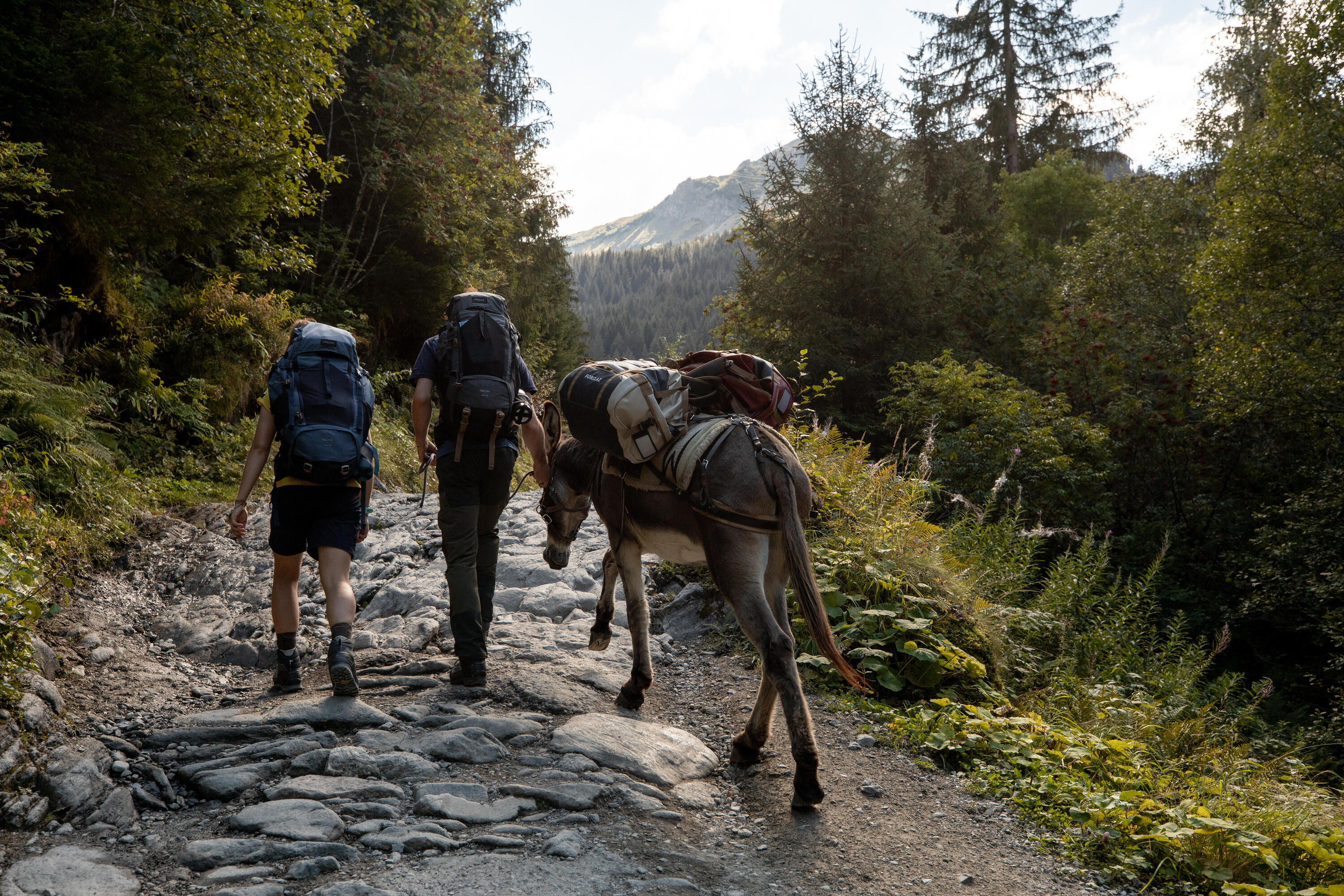 Simond Women's MT500 2-in-1 Modular Hiking Pants - Image 11