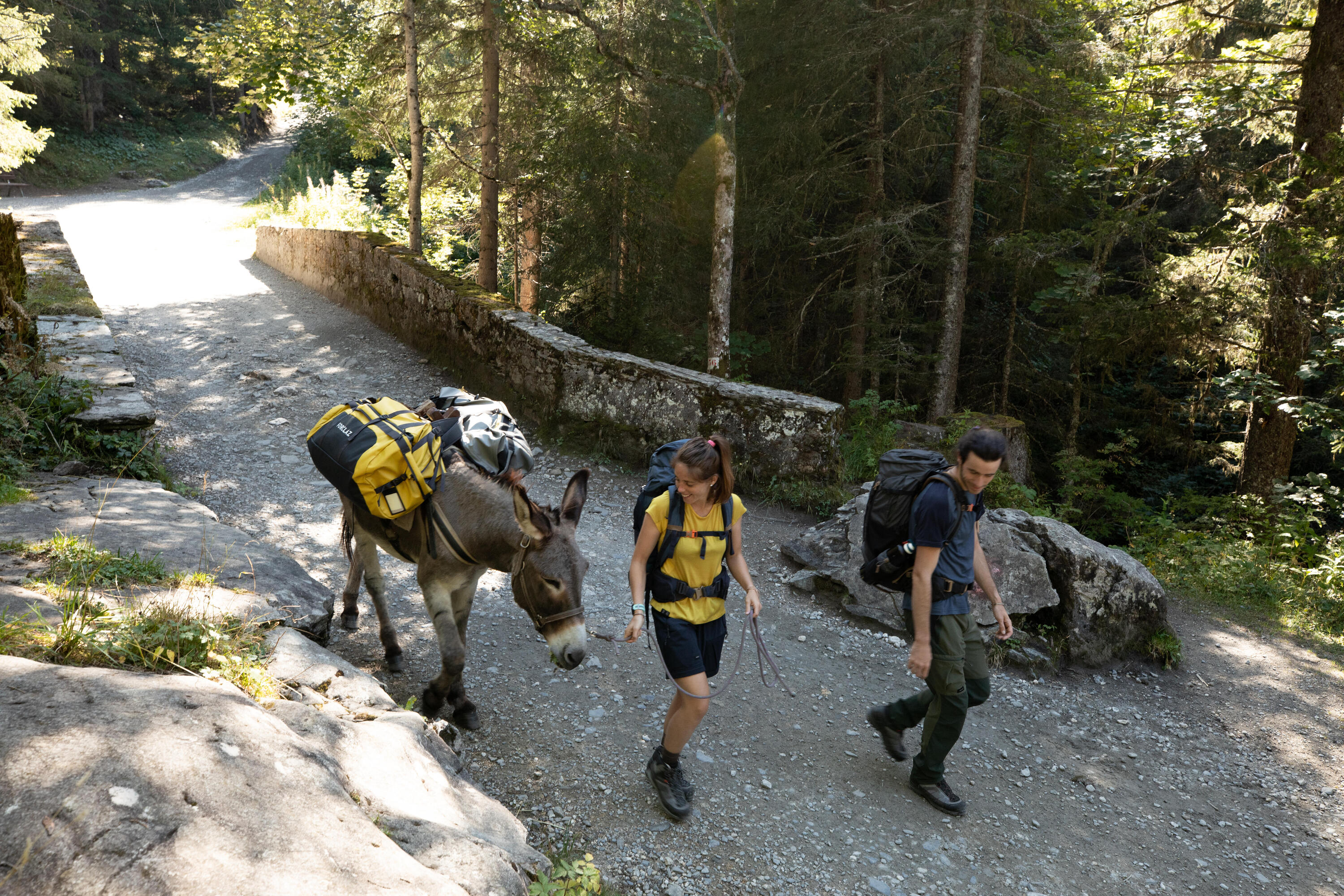 Simond Women's MT500 2-in-1 Modular Hiking Pants - Image 12